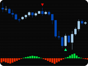 ninjatrader programming