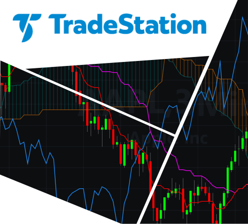 PROGRAMADORES TradeStation PARA SU PROYECTO