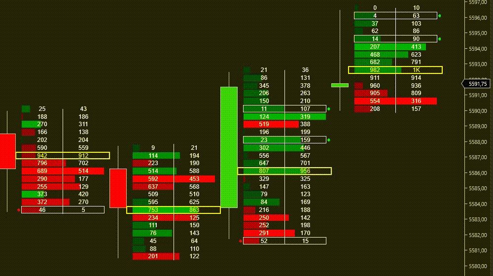 NinjaTrader FootPrint Chart Indicator