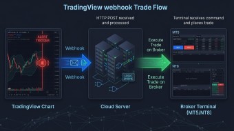 what-is-tradingview-webhook